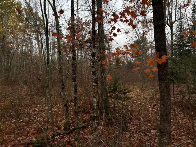 $169,000 | M4-l18 Bog Road, Jackson, ME 04921