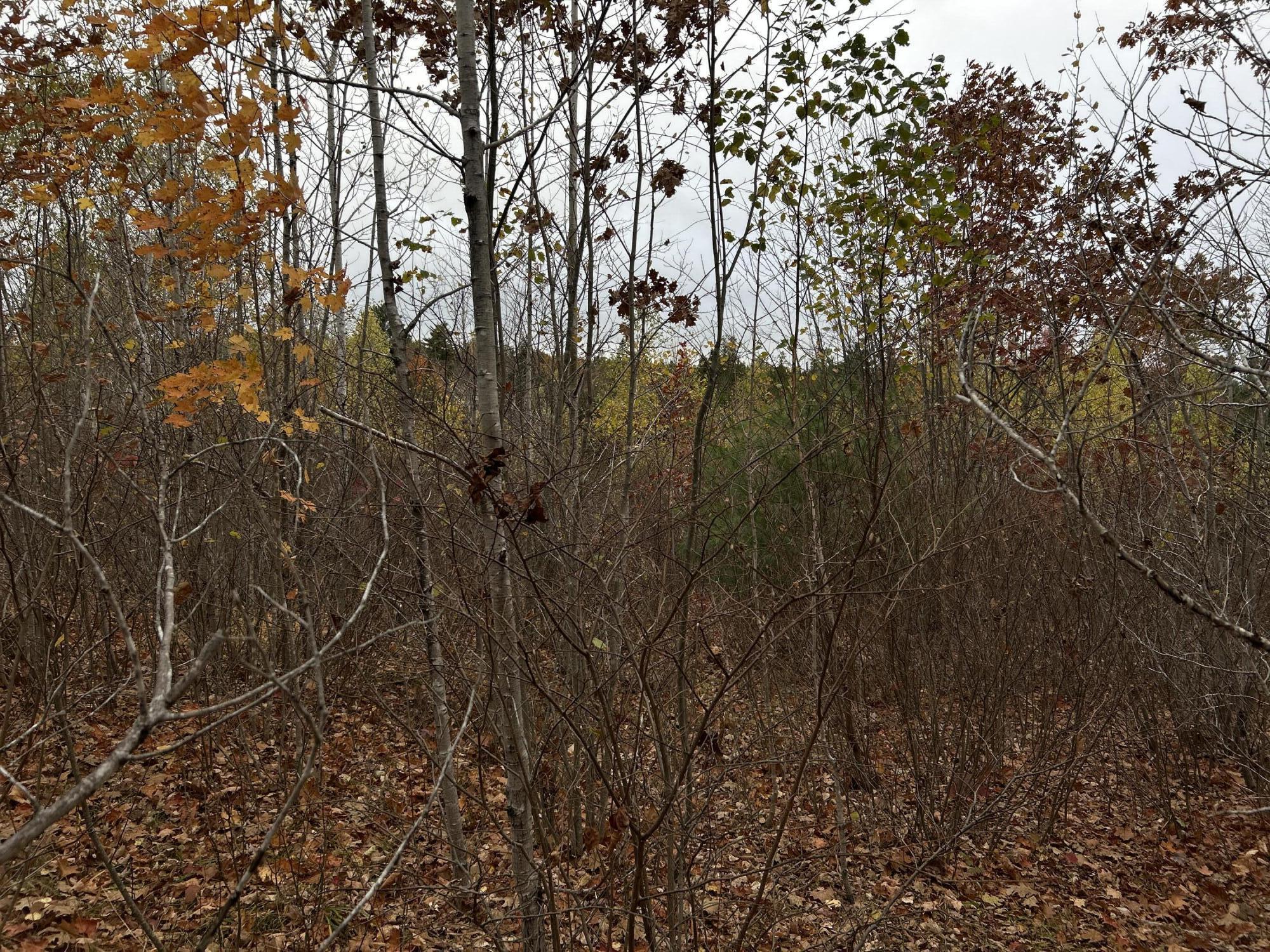 M4-l18 Bog Road Jackson, ME 04921 - Photo 3 of 48 IMG_6143