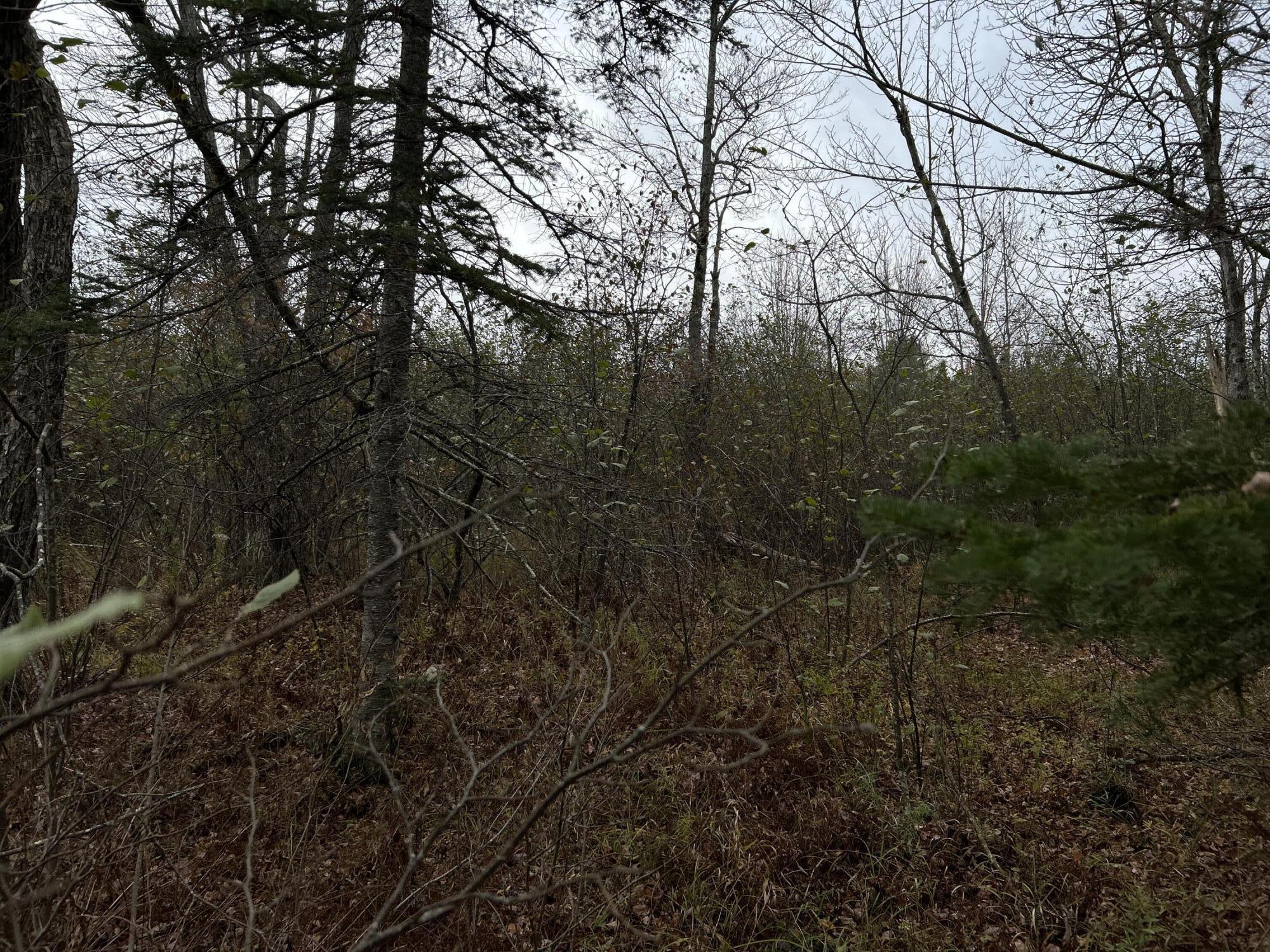 M4-l18 Bog Road Jackson, ME 04921 - Photo 31 of 48 IMG_6157