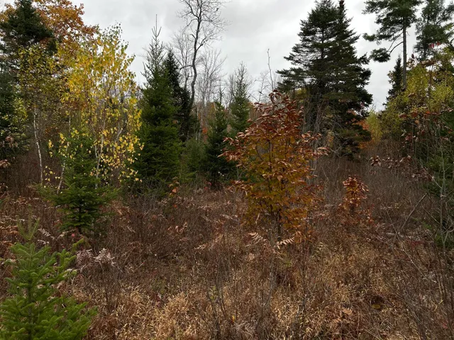 $169,000 | M4-l18 Bog Road, Jackson, ME 04921