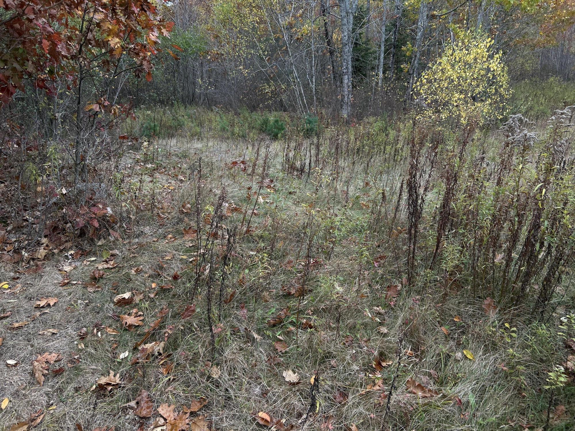 M4-l18 Bog Road Jackson, ME 04921 - Photo 34 of 48 IMG_6187