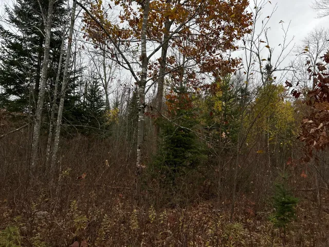 $169,000 | M4-l18 Bog Road, Jackson, ME 04921