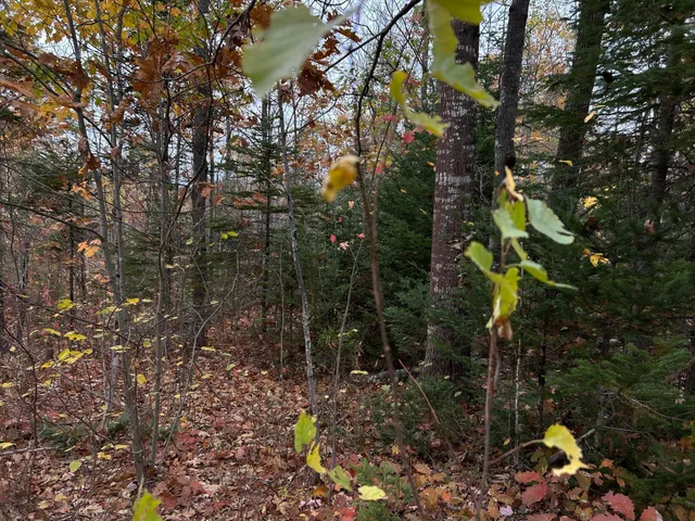 $169,000 | M4-l18 Bog Road, Jackson, ME 04921