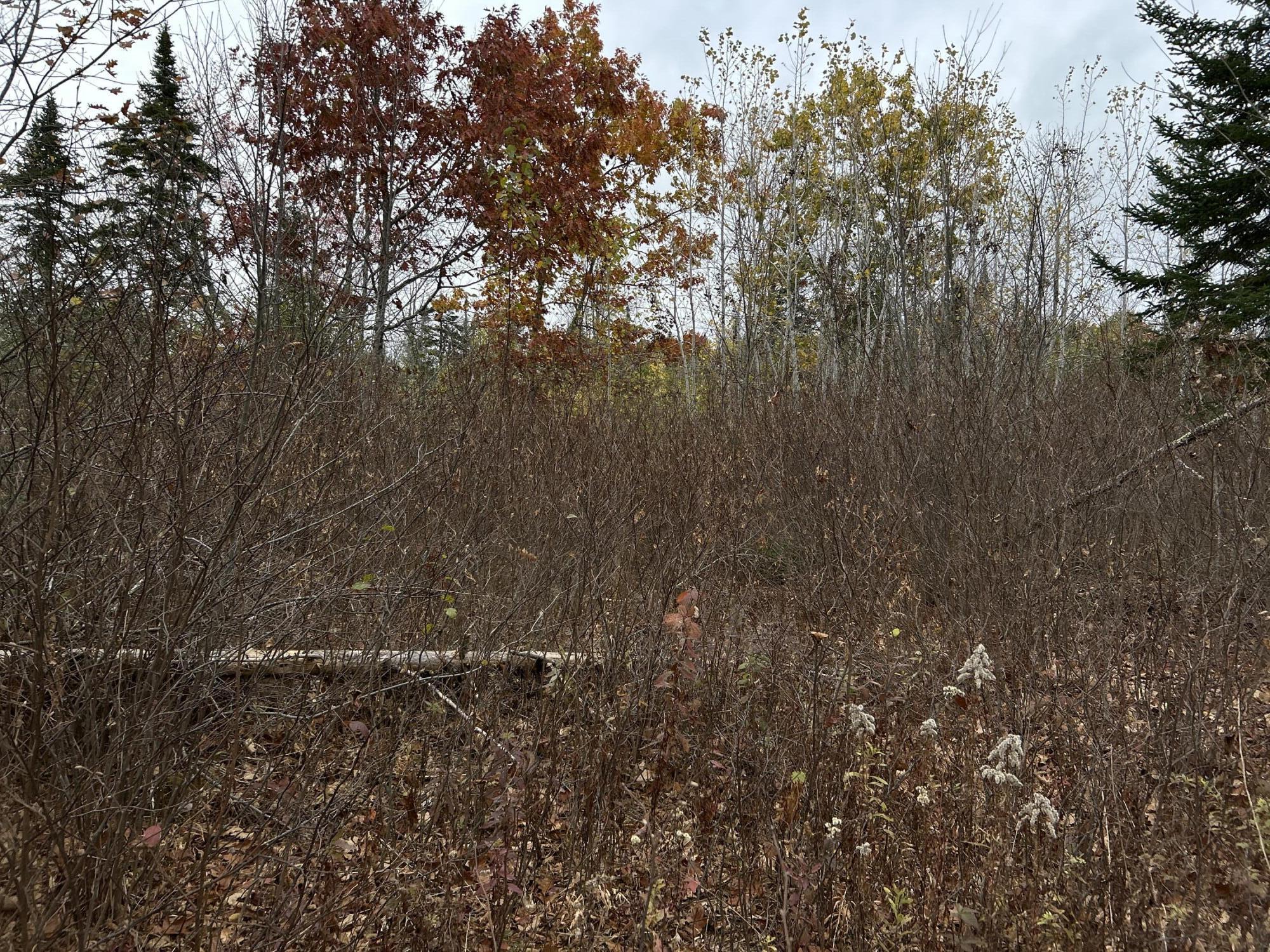 M4-l18 Bog Road Jackson, ME 04921 - Photo 37 of 48 IMG_6166