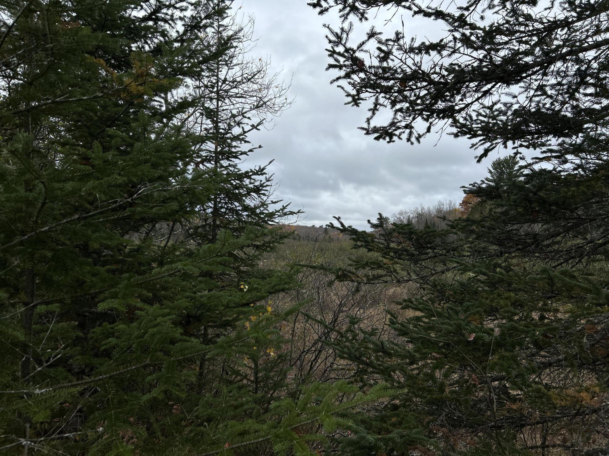 M4-l18 Bog Road Jackson, ME 04921 - Photo 40 of 48 IMG_6153