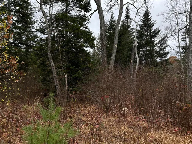 $169,000 | M4-l18 Bog Road, Jackson, ME 04921