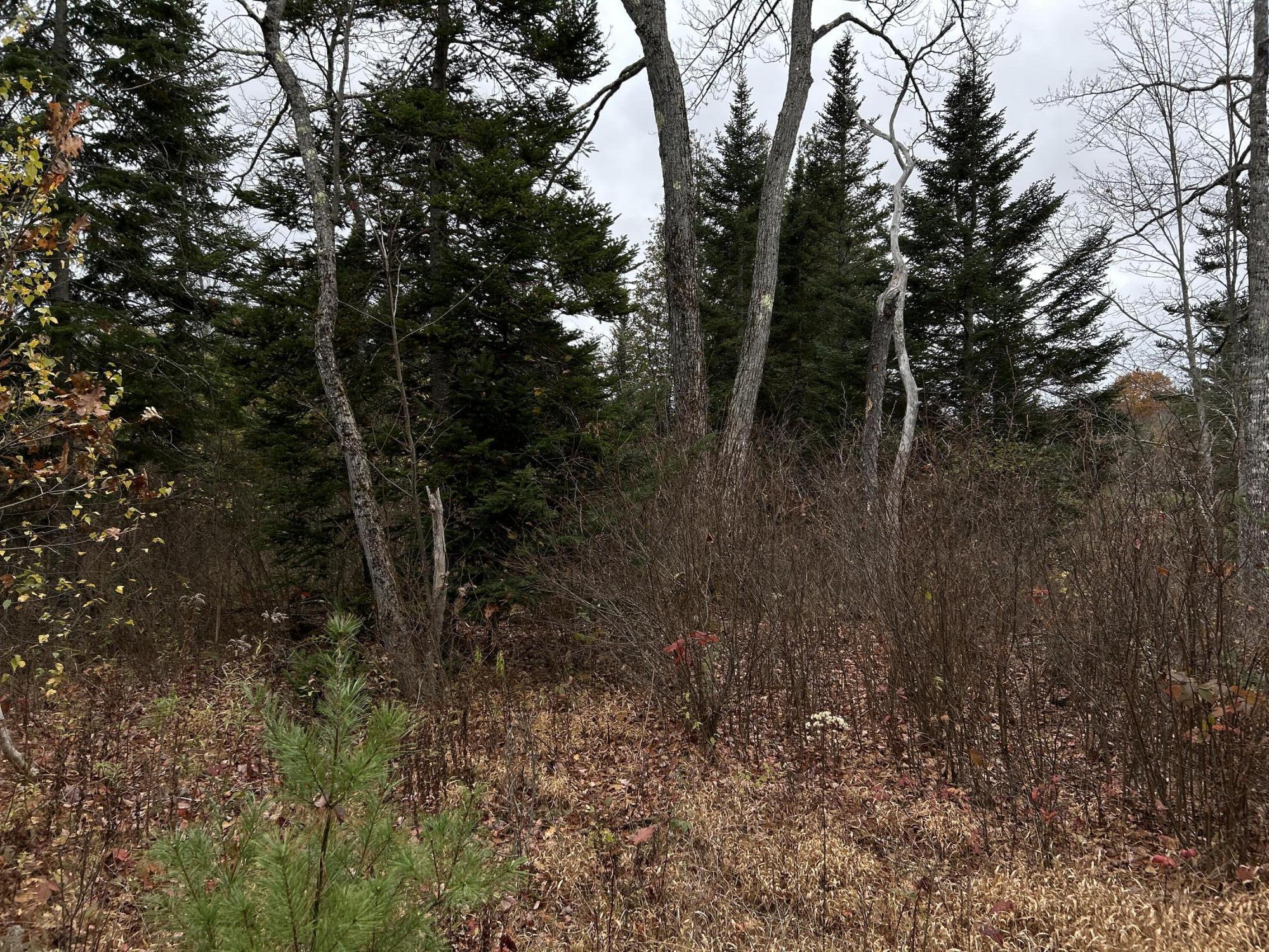 M4-l18 Bog Road Jackson, ME 04921 - Photo 4 of 48 IMG_6146