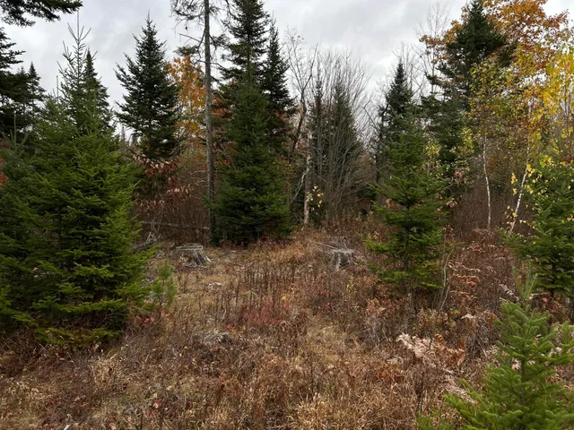 $169,000 | M4-l18 Bog Road, Jackson, ME 04921
