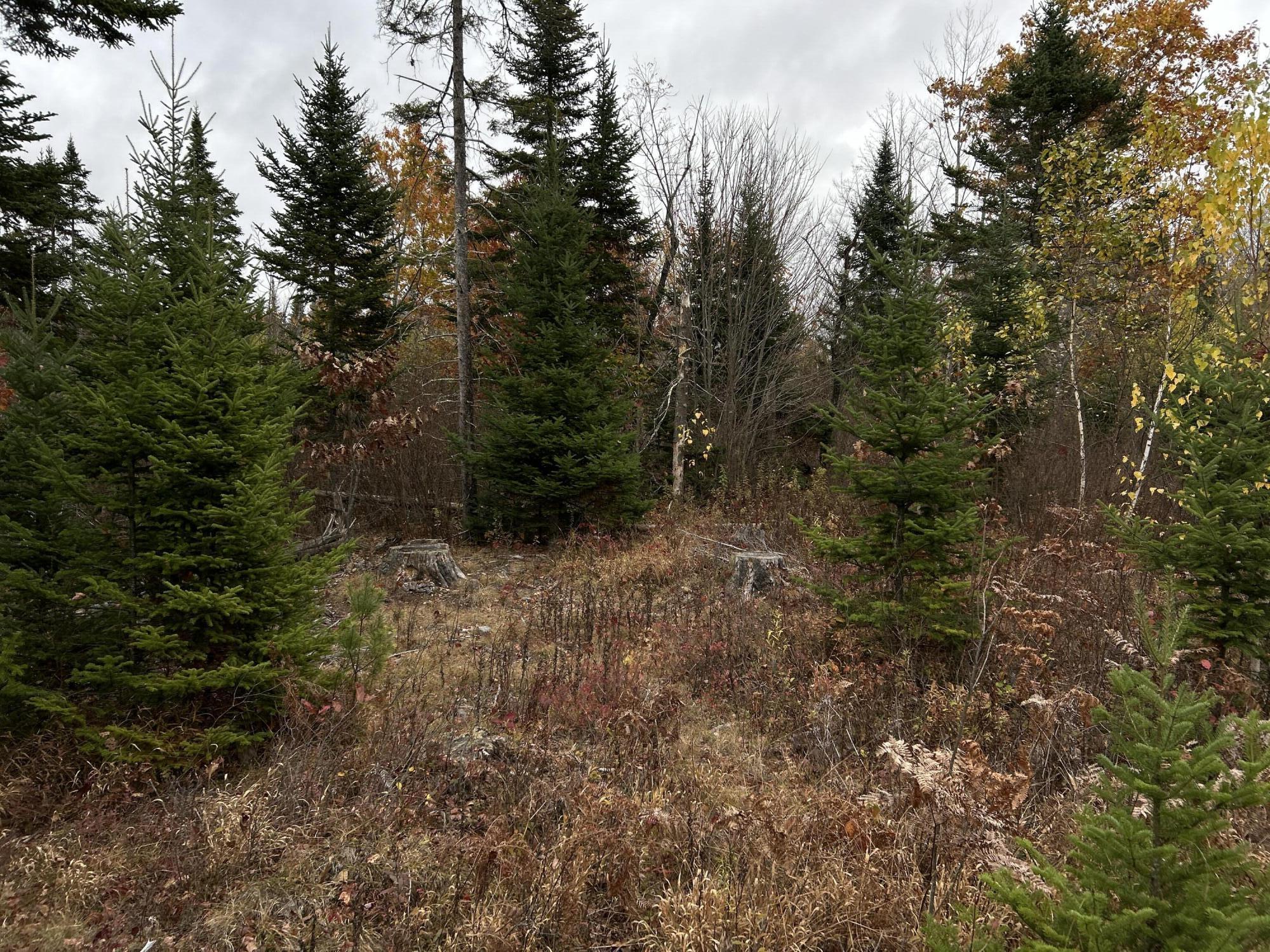 M4-l18 Bog Road Jackson, ME 04921 - Photo 42 of 48 IMG_6164