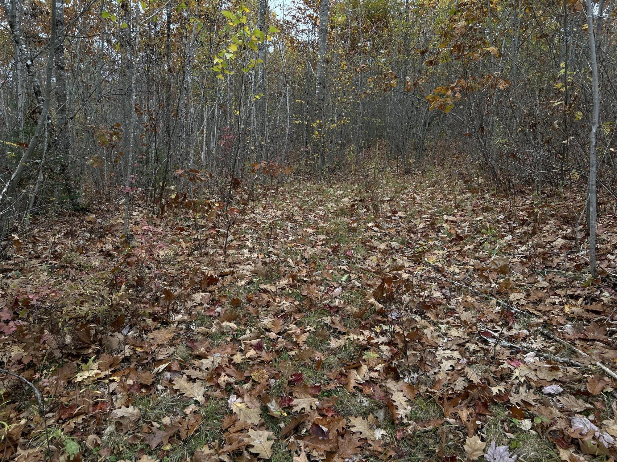 M4-l18 Bog Road Jackson, ME 04921 - Photo 43 of 48 IMG_6180