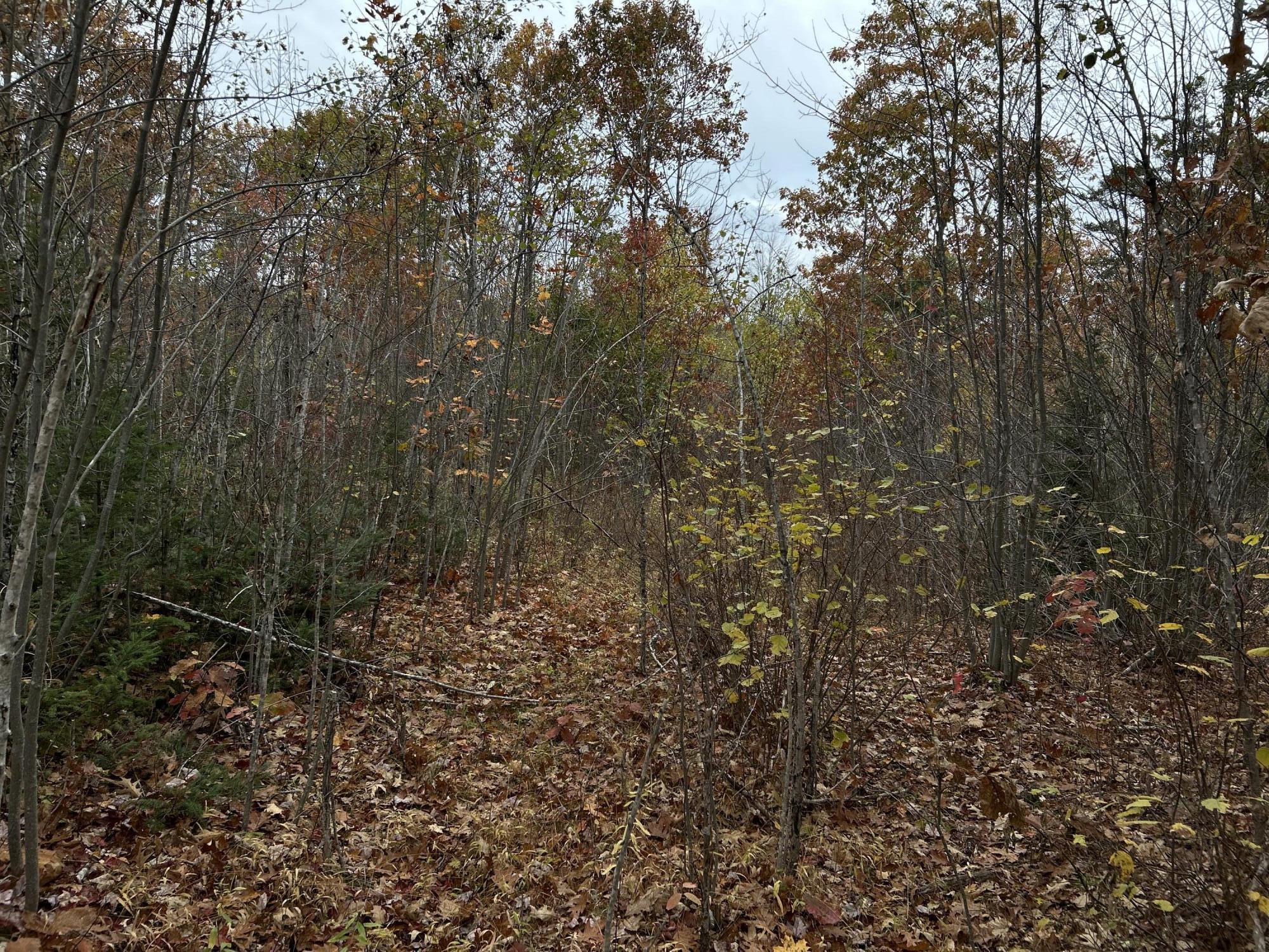 M4-l18 Bog Road Jackson, ME 04921 - Photo 46 of 48 IMG_6183