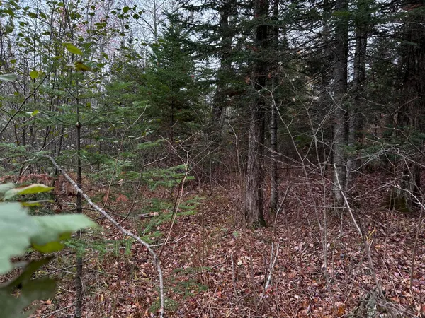 $169,000 | M4-l18 Bog Road, Jackson, ME 04921