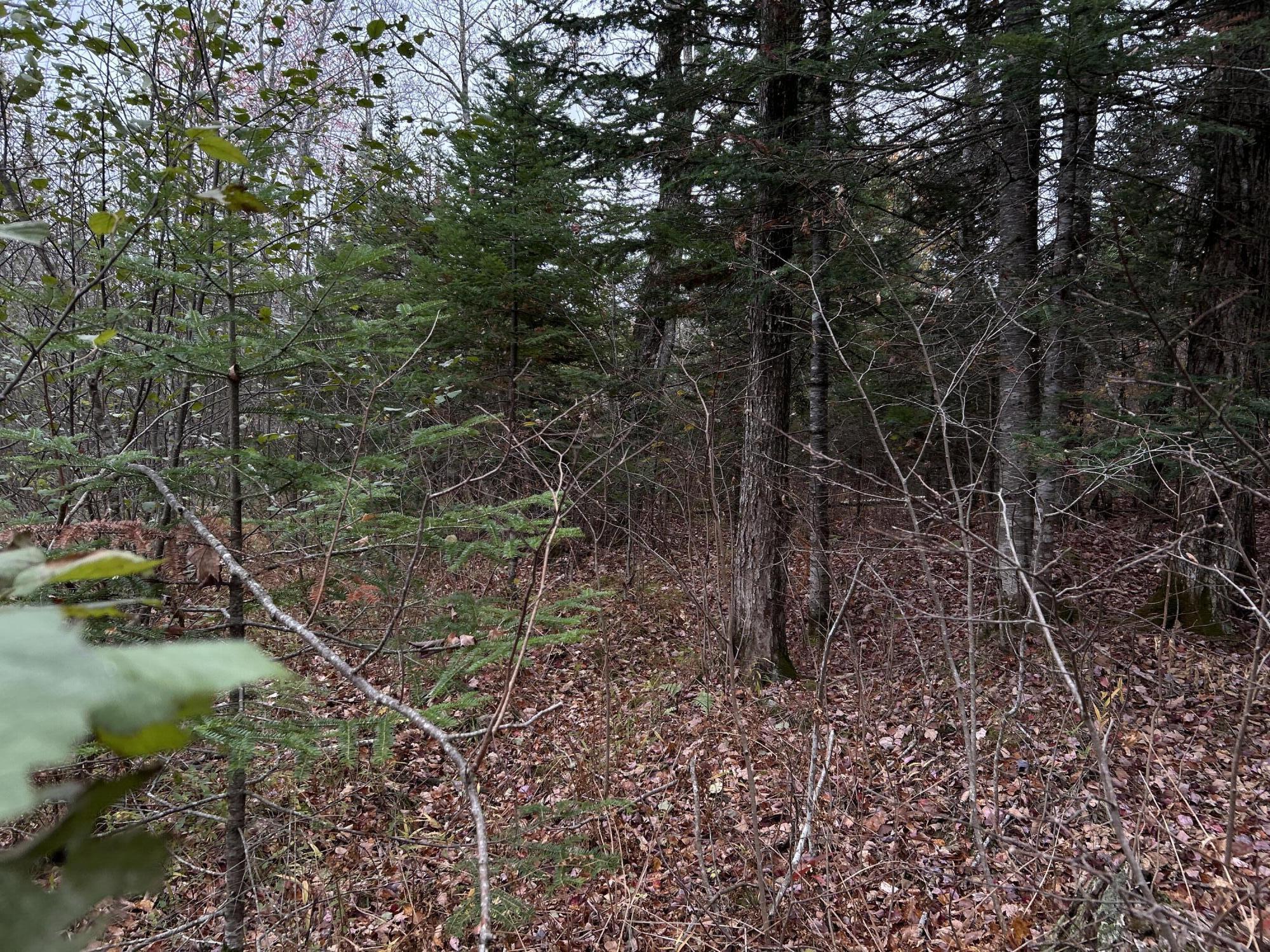 M4-l18 Bog Road Jackson, ME 04921 - Photo 48 of 48 IMG_6159