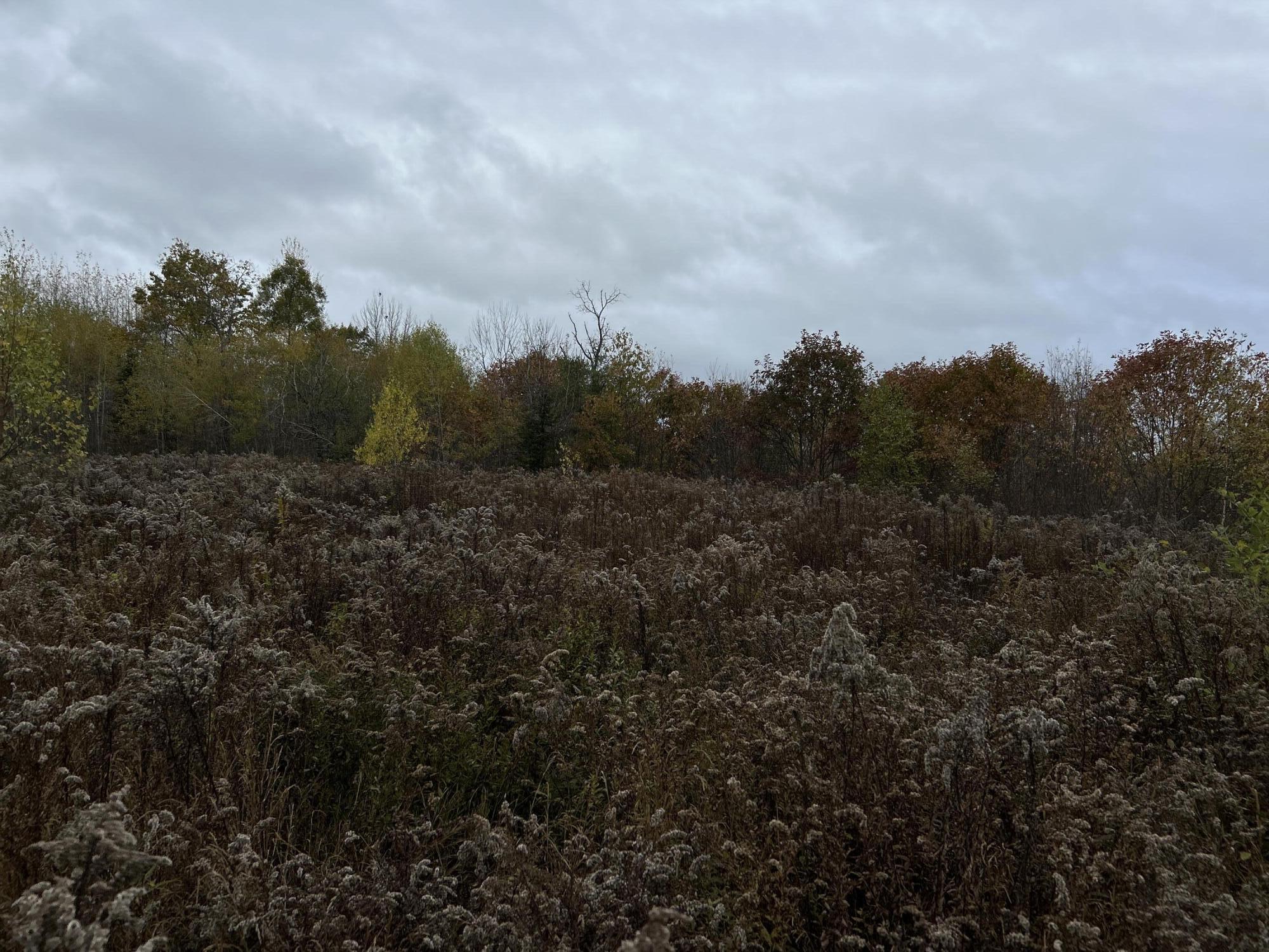 M4-l18 Bog Road Jackson, ME 04921 - Photo 6 of 48 IMG_6142