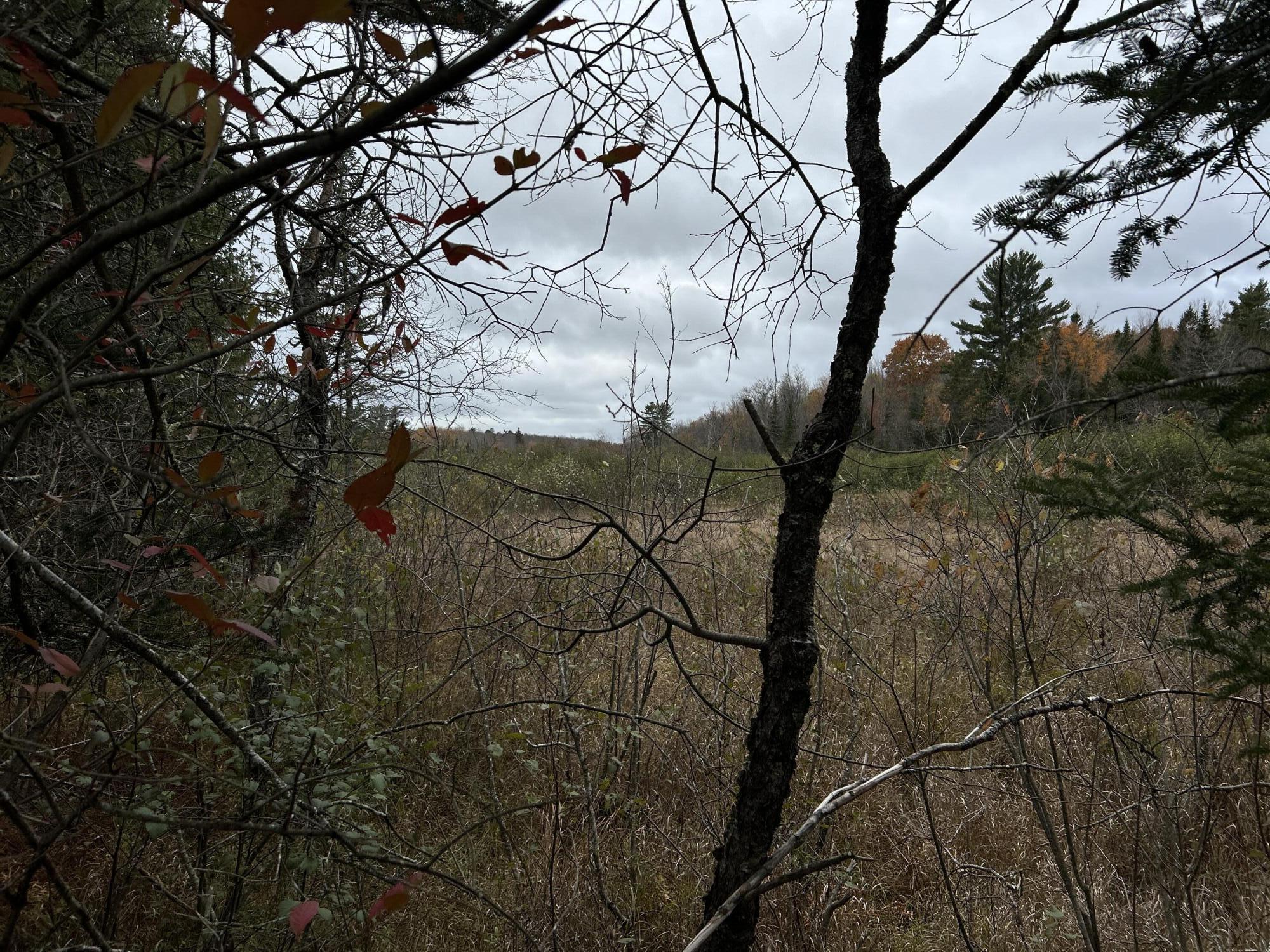 M4-l18 Bog Road Jackson, ME 04921 - Photo 8 of 48 IMG_6150