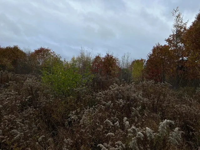 $169,000 | M4-l18 Bog Road, Jackson, ME 04921