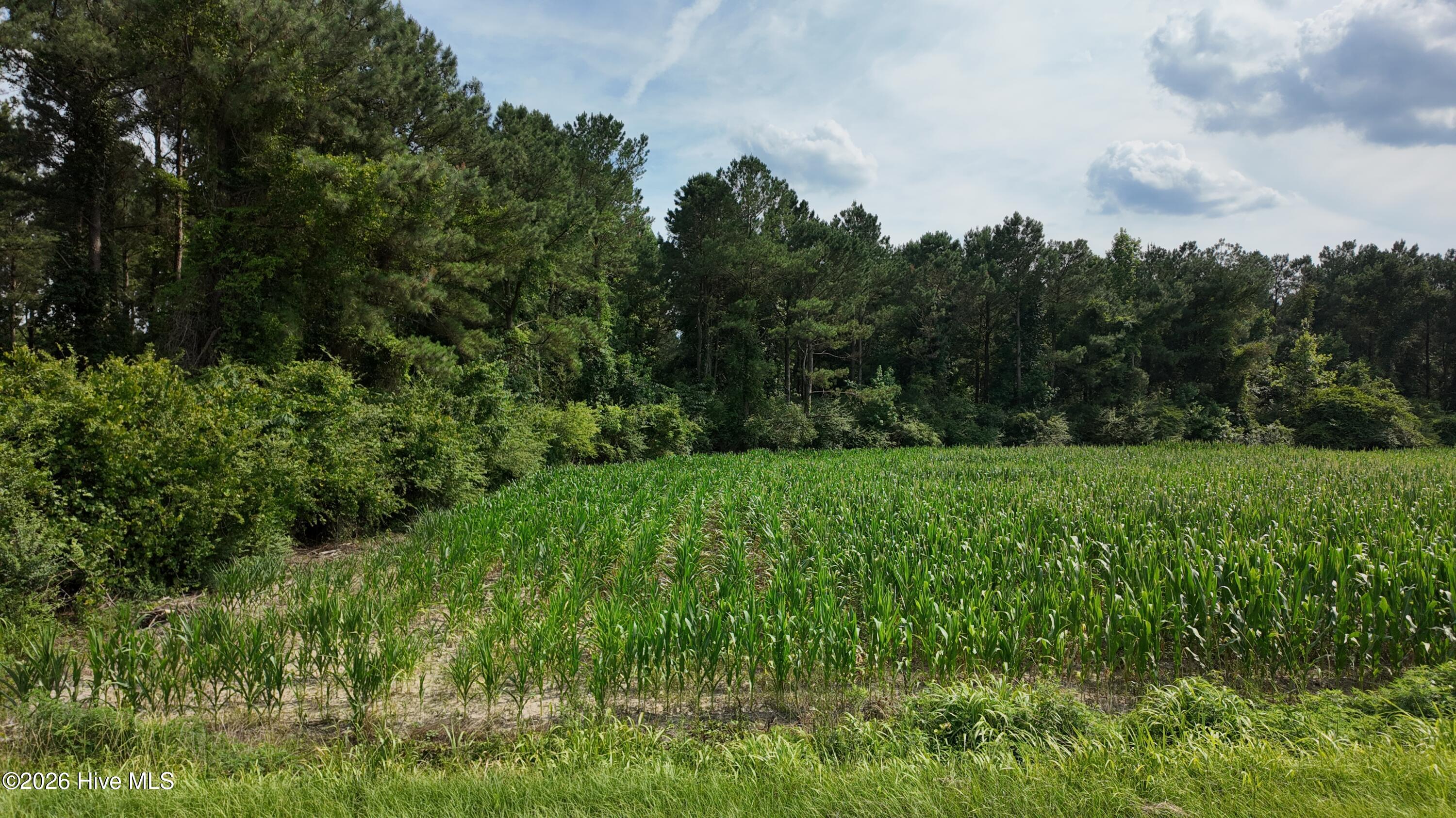 0 Ludie Brown Road Chinquapin, NC 28521 - Photo 9 of 9
