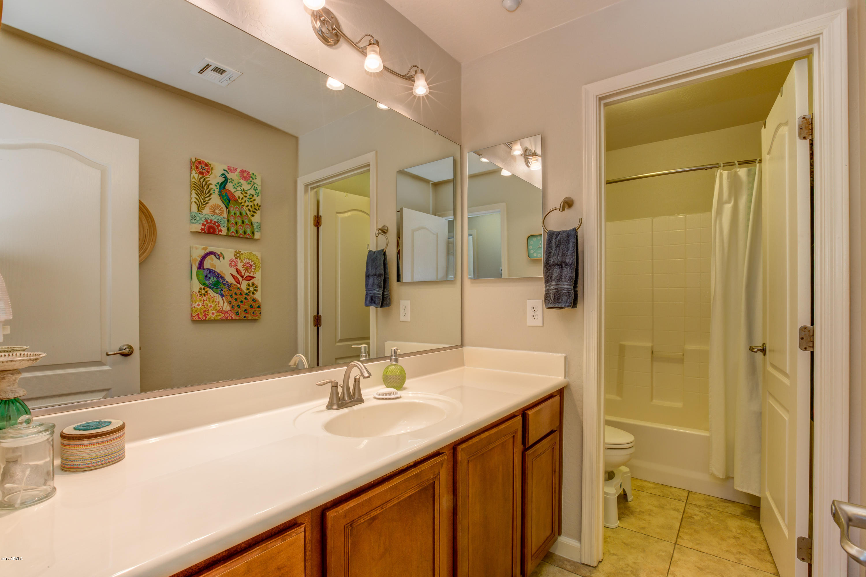 1712 South Martingale Road Gilbert, AZ 85295 - Photo 20 of 31 Secondary Bathroom