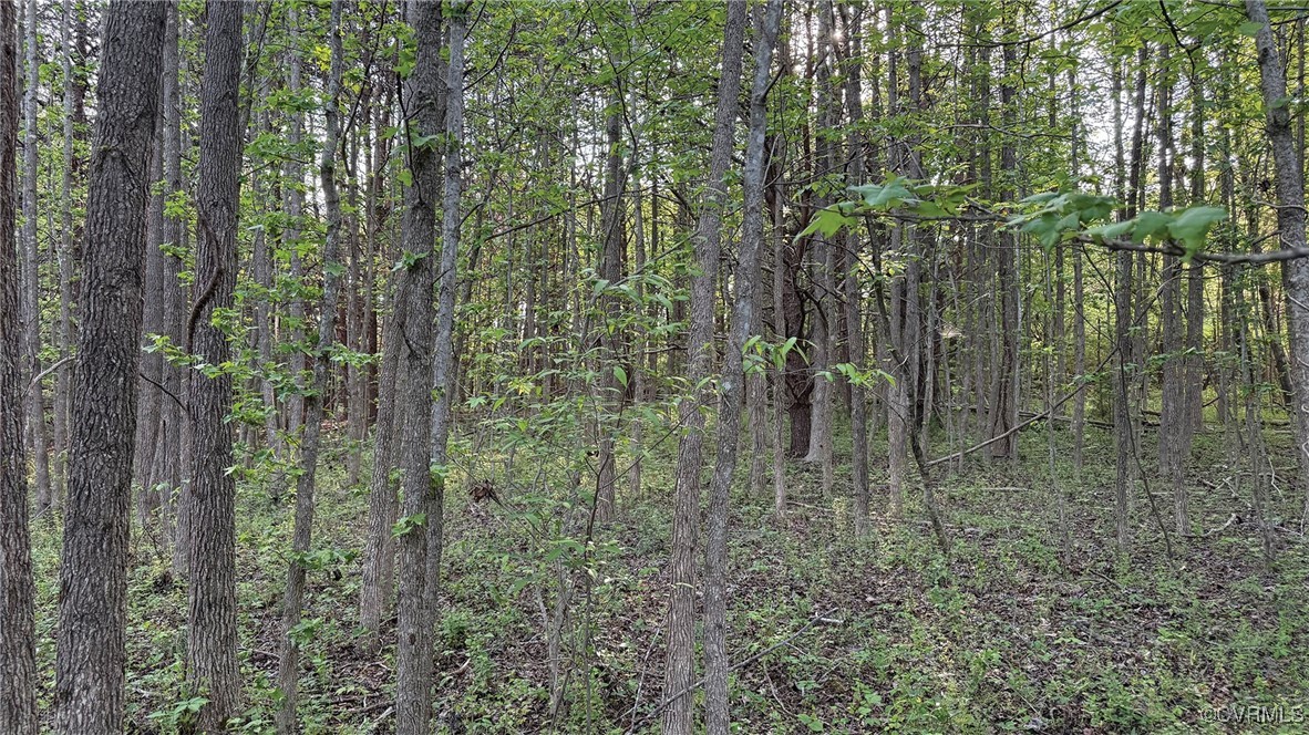 0 Jenkins Church Road Cumberland, VA 23040 - Photo 11 of 16 a view of outdoor space and garden