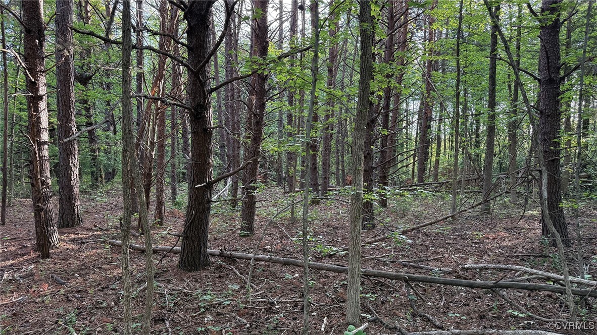 0 Jenkins Church Road Cumberland, VA 23040 - Photo 13 of 16 a view of a forest filled with trees