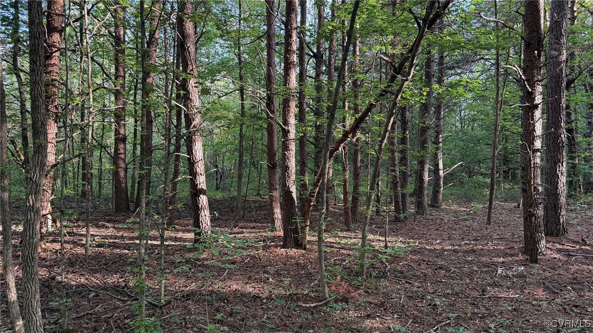 0 Jenkins Church Road Cumberland, VA 23040 - Photo 14 of 16 a backyard of a house with lots of green space