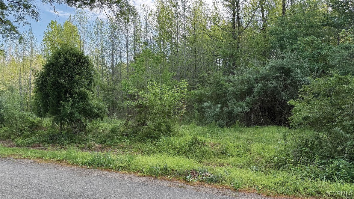 0 Jenkins Church Road Cumberland, VA 23040 - Photo 16 of 16 a view of a lush green forest