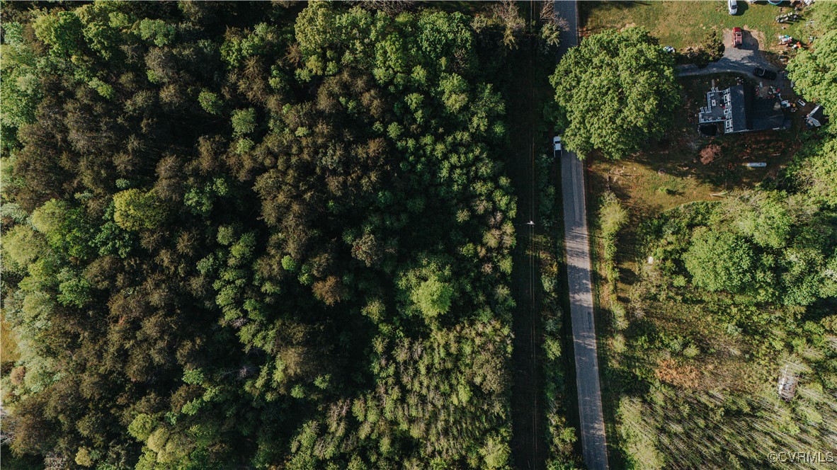 0 Jenkins Church Road Cumberland, VA 23040 - Photo 4 of 16 a view of a tree