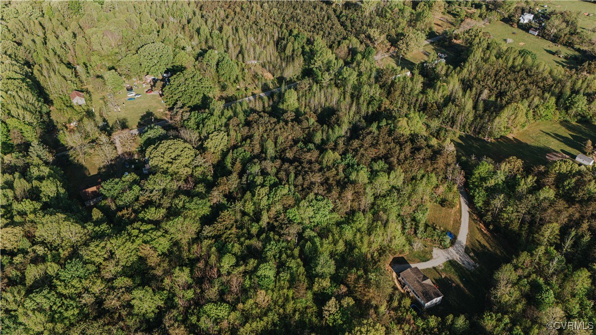 0 Jenkins Church Road Cumberland, VA 23040 - Photo 5 of 16 a view of a tree