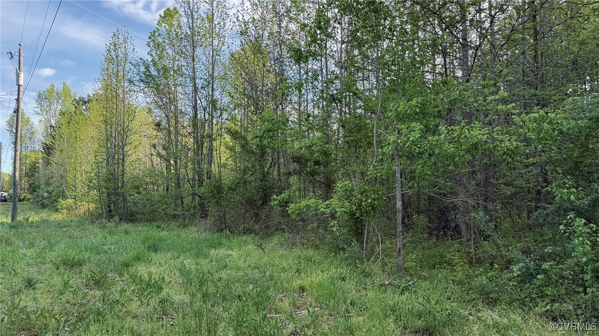 0 Jenkins Church Road Cumberland, VA 23040 - Photo 10 of 16