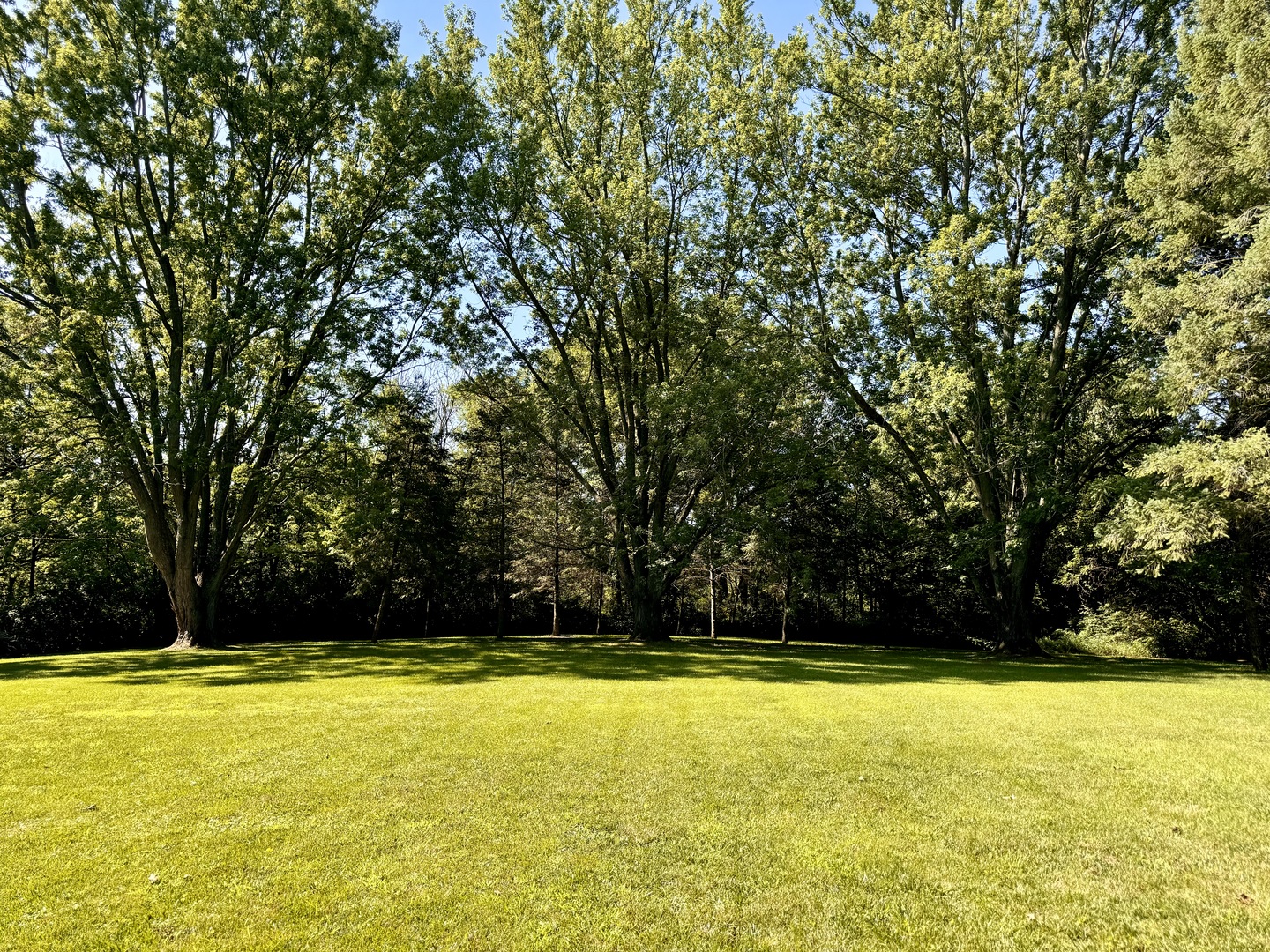 1087 Lost Nation Road Dixon, IL 61021 - Photo 17 of 23 a view of swimming pool and trees in the background