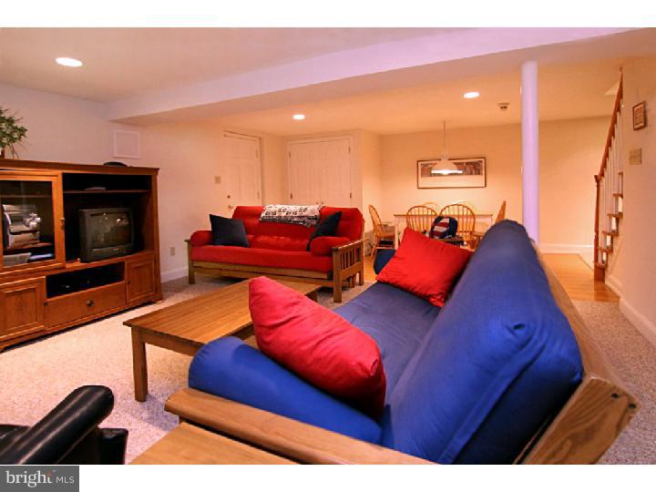 101 Golf Hills Road Havertown, PA 19083 - Photo 22 of 25 Basement - Finished