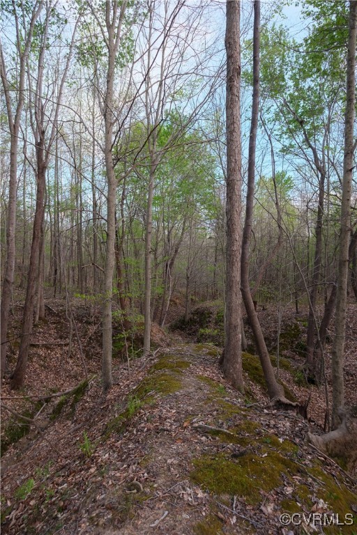 0 Poorhouse Road Rice, VA 23966 - Photo 11 of 25 a backyard of a house with lots of green space