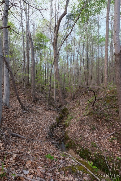 0 Poorhouse Road Rice, VA 23966 - Photo 12 of 25 a view of a forest with trees in the background
