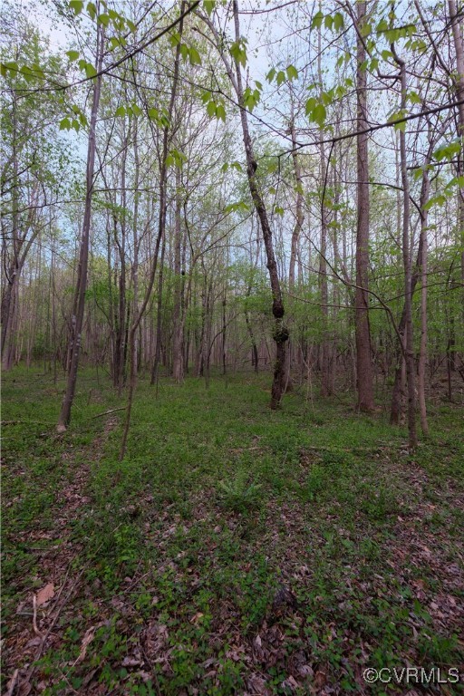 0 Poorhouse Road Rice, VA 23966 - Photo 14 of 25 a backyard of a house with lots of green space