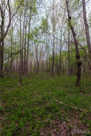 a view of outdoor space with a garden