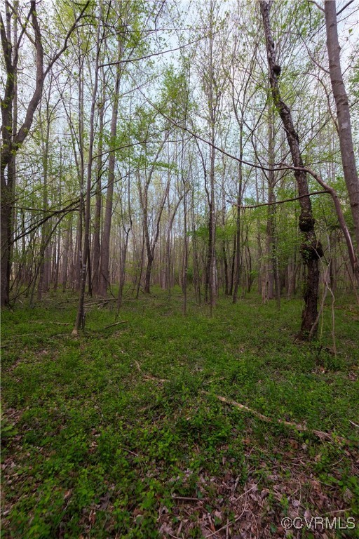0 Poorhouse Road Rice, VA 23966 - Photo 15 of 25 a view of outdoor space with a garden