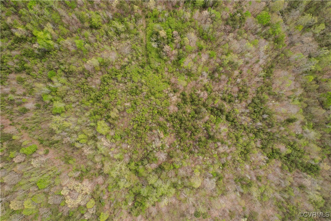 0 Poorhouse Road Rice, VA 23966 - Photo 16 of 25