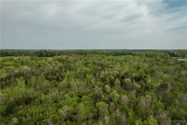 a view of a field with an ocean