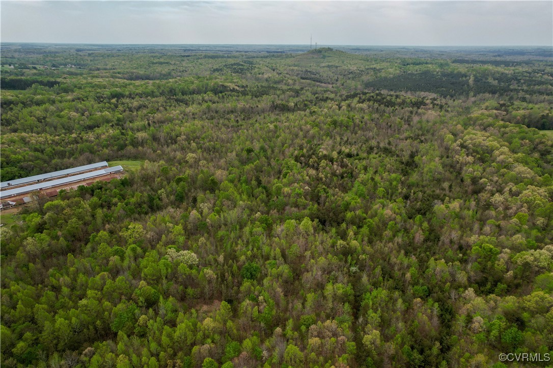 0 Poorhouse Road Rice, VA 23966 - Photo 21 of 25 a view of a field with an outdoor space
