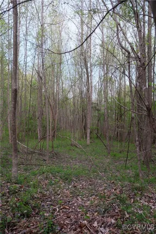 a view of outdoor space and green space