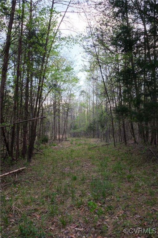 0 Poorhouse Road Rice, VA 23966 - Photo 7 of 25 a big yard with lots of green space and deers