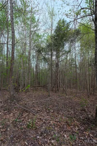 a view of a large yard with lots of green space