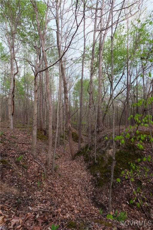 0 Poorhouse Road Rice, VA 23966 - Photo 10 of 25 a backyard of a house with lots of green space