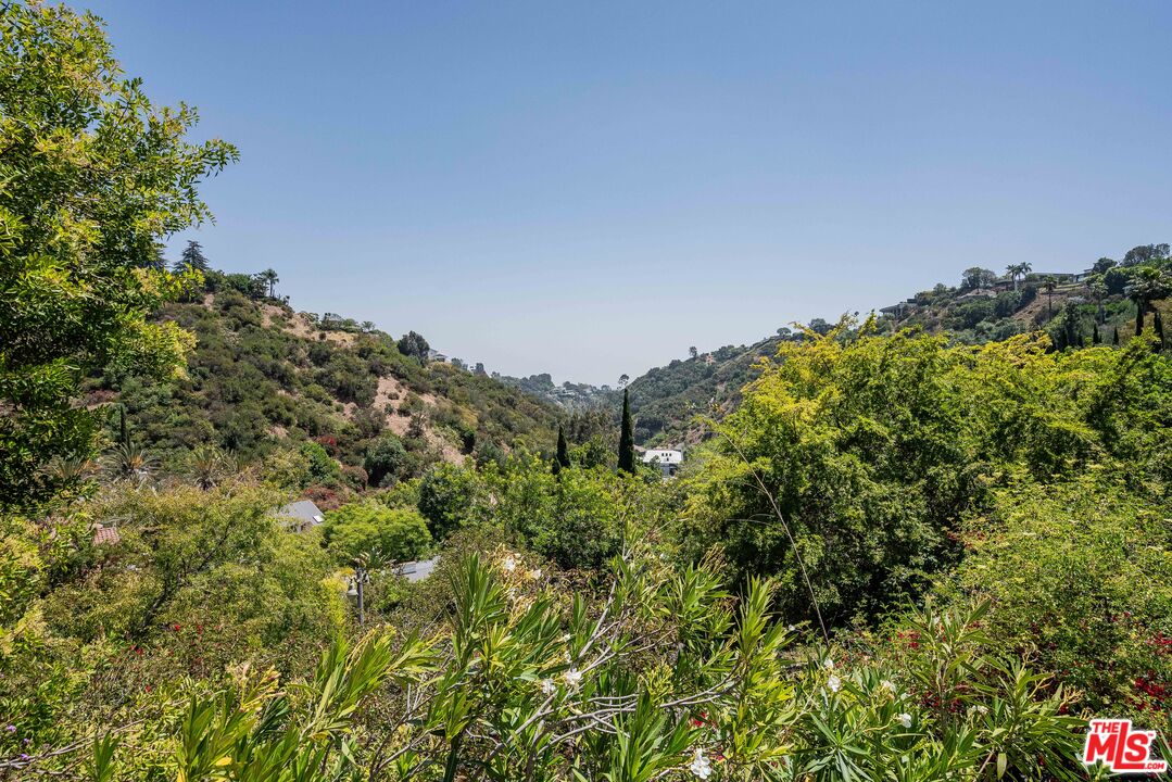 1181 Somera Road Los Angeles, CA 90077 - Photo 37 of 40 a view of a large yard with lots of green space