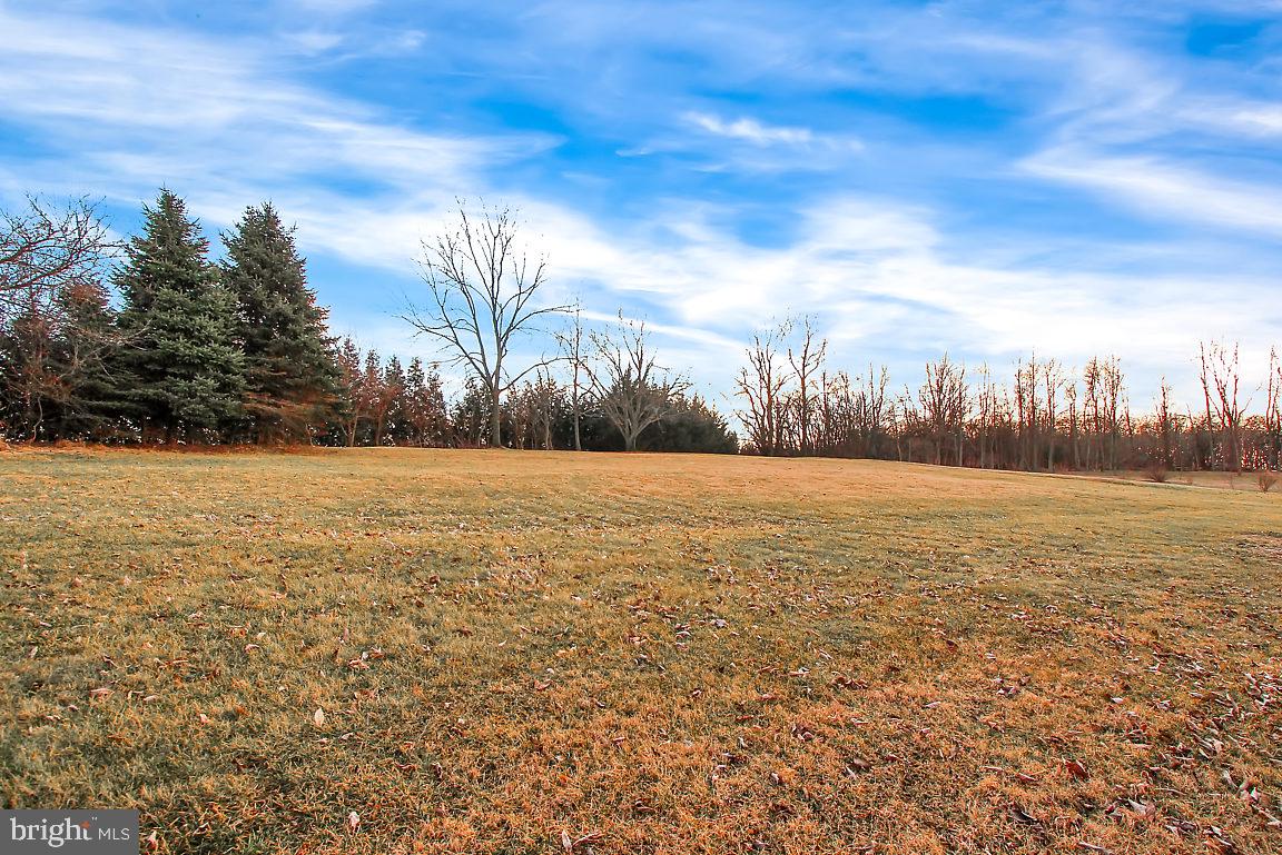 4089 Steltz Road New Freedom, PA 17349 - Photo 20 of 26 Scenic view/ back yard