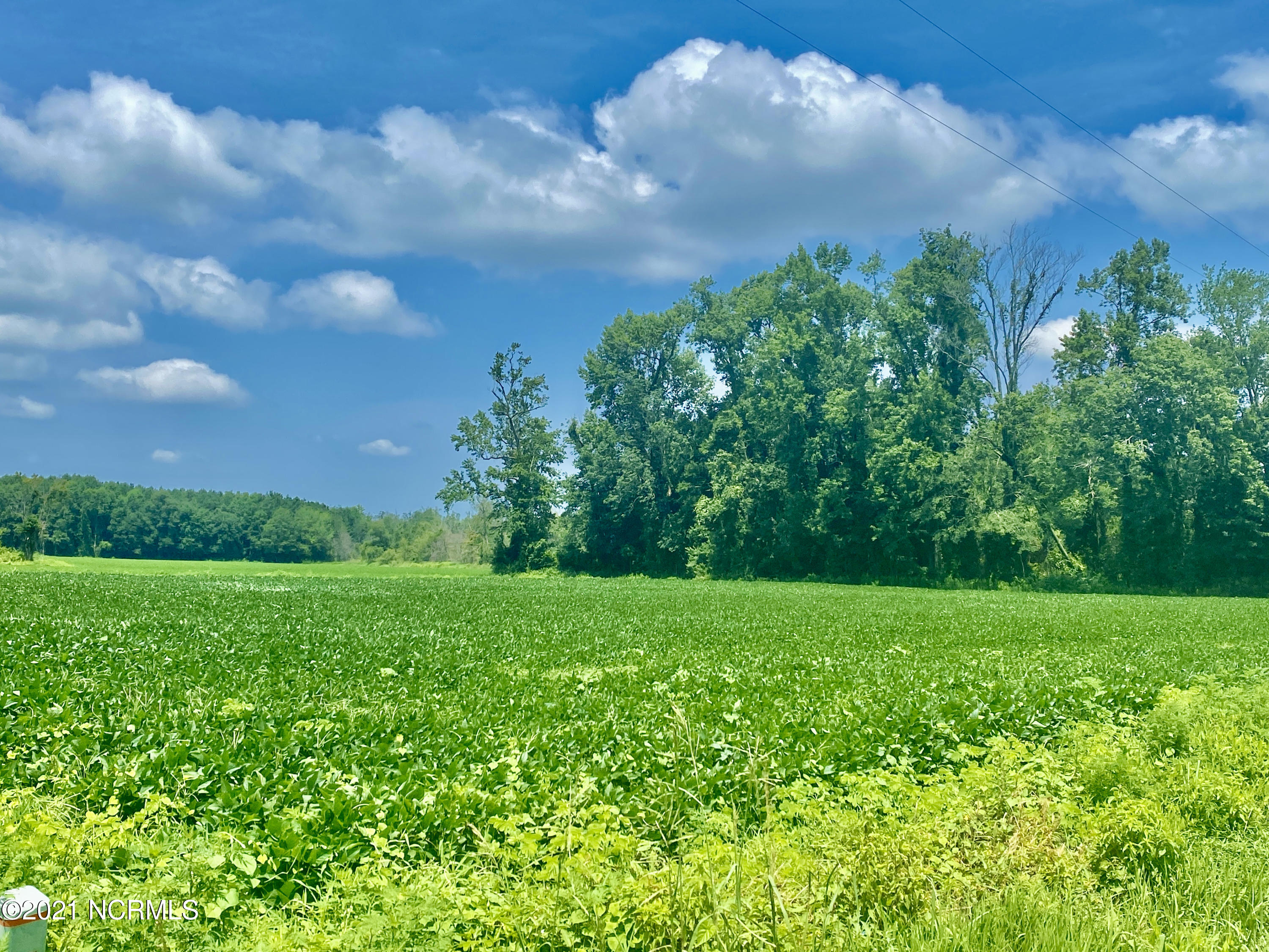 0 Wynn Road Robersonville, NC 27871 - Photo 1 of 1 main