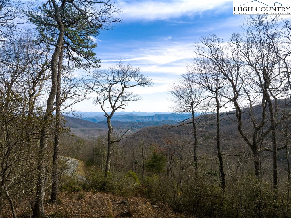 13 August Lily Lane Boone, NC 28607 - Photo 2 of 29 a view of outdoor space and yard