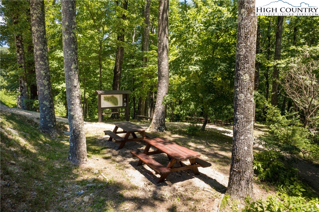 13 August Lily Lane Boone, NC 28607 - Photo 29 of 29 a view of a trees and yard