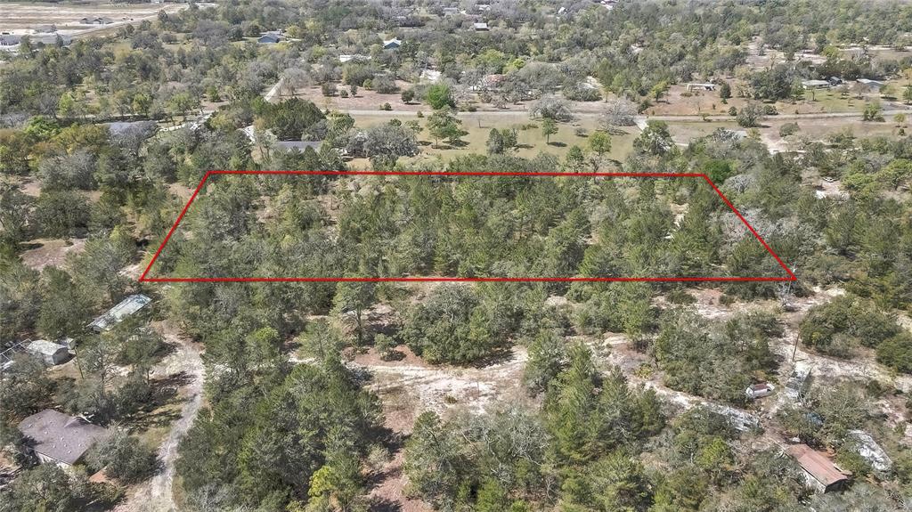 12460 Taylor Street Brooksville, FL 34613 - Photo 2 of 3 a view of a yard with a tree