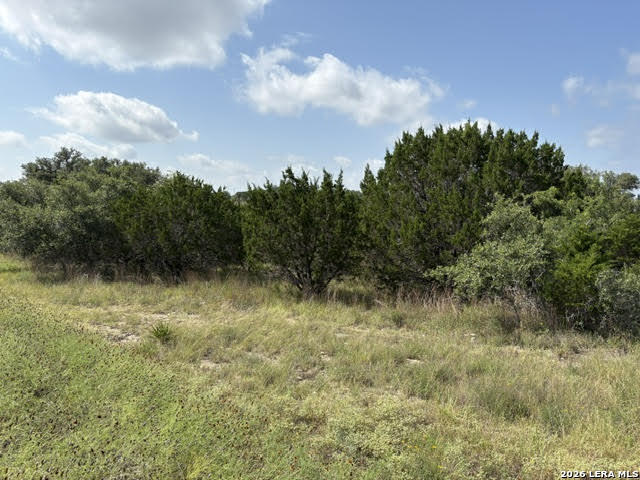 Lot 2025 Split Ridge Spring Branch, TX 78070 - Photo 8 of 35